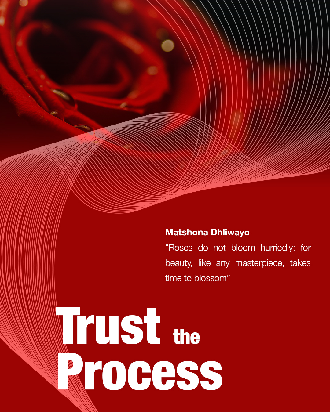 trust-process